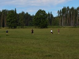 dcim_0009-pg
